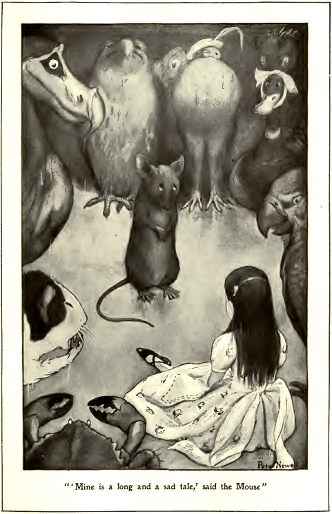 Mine is a long and sad tale, said the Mouse - En français : Mon histoire est longue et triste, dit la Souris