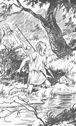 Illustration tirée de&nbsp;: DUMAS, Alexandre. Aventures de Lyderic. Poitiers&nbsp;: S.F.I.L., S.D. P.&nbsp;87.